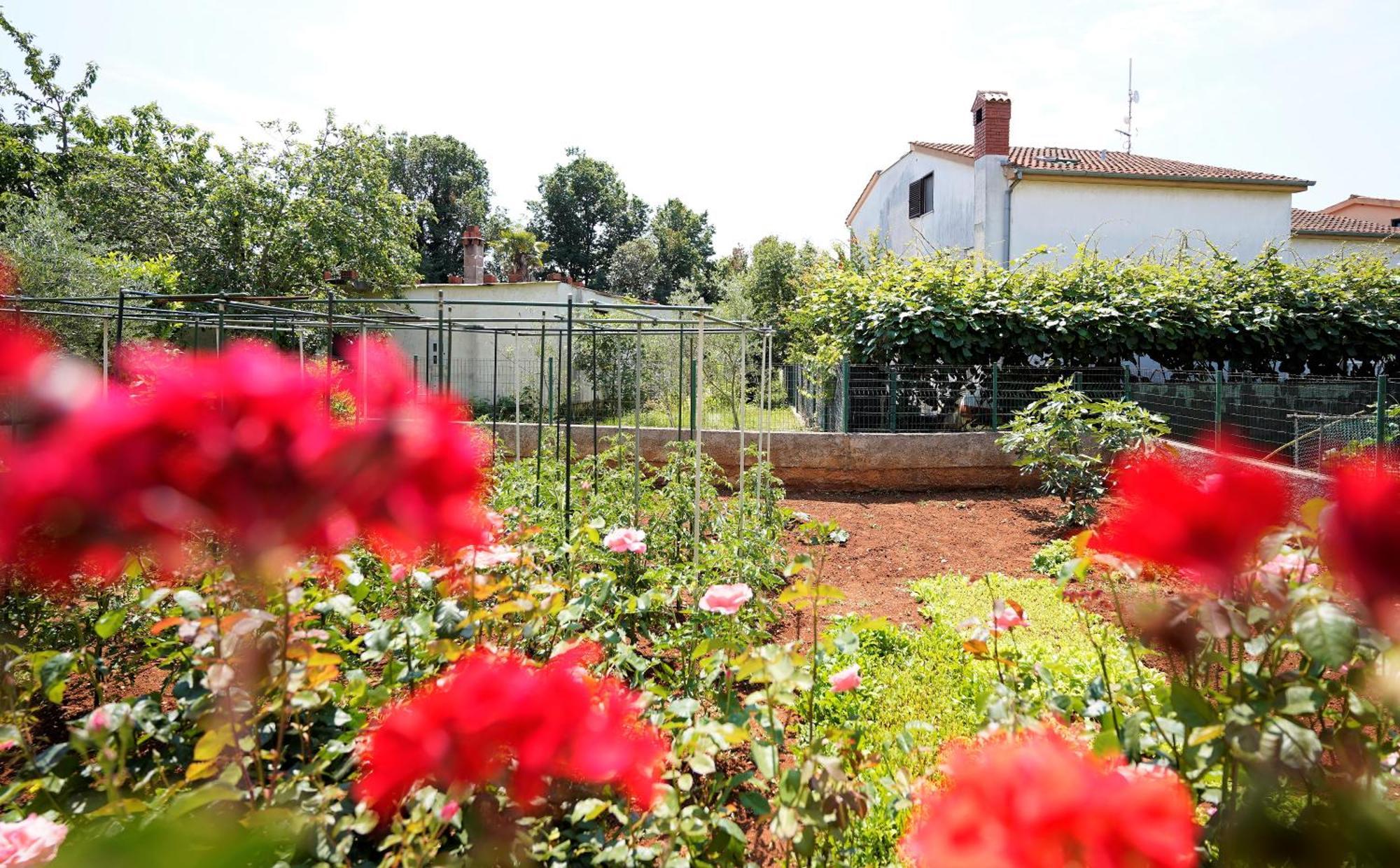 Apartman Nada I Fažana Exterior foto